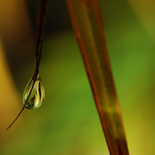 Active The Nature In Your Mind