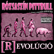 Revolúció