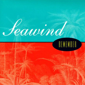 Please Say Yes by Seawind