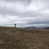 roll with the punches