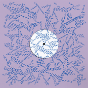 you just give in, giving it all to the wind