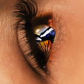 Nah (feat. Sinead Harnett) - Single