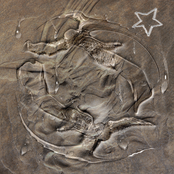 Angels In the Sand - EP