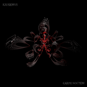 Carpe noctem