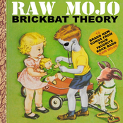 Brickbat Theory