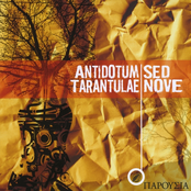 Antidotum Tarantulae by Antidotum Tarantulae