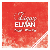 Zaggin' With Zig