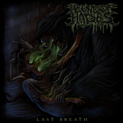 Last Breath - Single