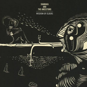 Shabaka and The Ancestors: Joyous