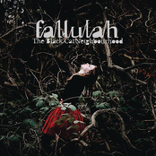 Wailing by Fallulah