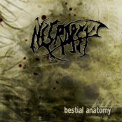 Décalcification by Necropsy