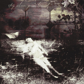 Stay where you're buried