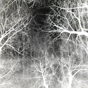 I Wish I Was Somebody Else