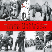 10,000 Maniacs: Blind Man's Zoo
