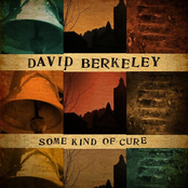 David Berkeley: Some Kind of Cure