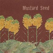 Mustard Seed