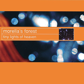 Never Let Go by Morella's Forest