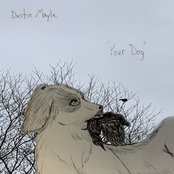 Your Dog - Single