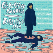 Chocolate Fondant / Reflective Skin - Single