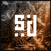 Healer (A.C.N. Remix)