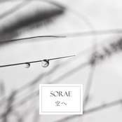 Sorae