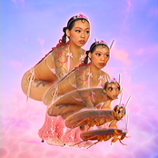 FROM FLORIDA'S FINEST [Explicit]