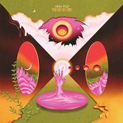 High Pulp: Pursuit of Ends