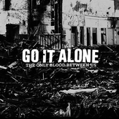 Inheritance by Go It Alone