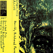 Horribly Butchered Face