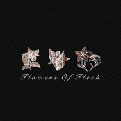 Flowers of Flesh