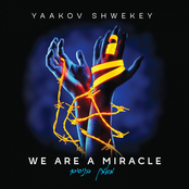 Yaakov Shwekey: We Are a Miracle