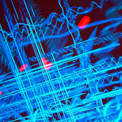 Everything is a Hologram and I Don't Care