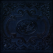 Cold Roses (International Version)