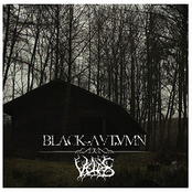 Black Autumn / Veldes