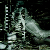 -Gestur--Remov-Boy--------1--