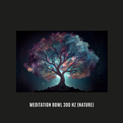 Meditation Bowl 300 Hz (Nature)