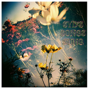 Syd's Songs Song
