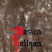 Musical Feast