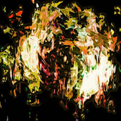 Guitar of KEIF MESA (Best)