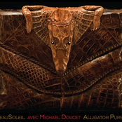 Alligator Purse by Beausoleil