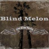 Working Class Hero by Blind Melon