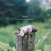 leverage of decomposition