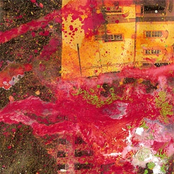 Warped Yin Yang Symbol