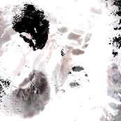 Witnessing the End of the Universe