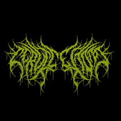 Rotten Putrid Flesh