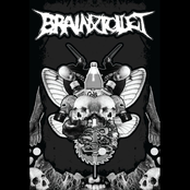 BRAINxTOILET