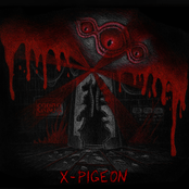 X-PIGEON