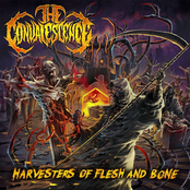 The Convalescence: Harvesters Of Flesh And Bone