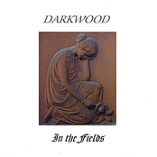 Darkwood: In the Fields