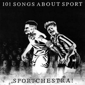 Polo by Sportchestra!